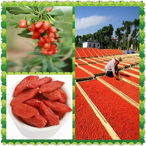 Ning Xia Dried Goji Berry Fruit