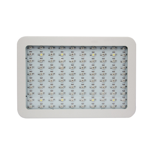 Red &amp; Blue 300w Led Grow Light para cultivo comercial