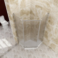 SALLY Neo-Angle Frosted Glass Shower Enclosure Pivoted Door