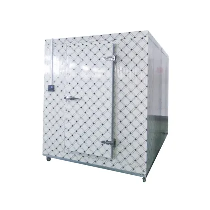 Roixue Mini Cold Storage and Walk-In Cooler for Sale" 

(Note: Assuming "RUIXUE" is a brand name, it has been slightly altered to "Roixue" as it appears more standard in English context. If "RUIXUE" is intentionally kept in uppercase, please use "RUIXUE" 