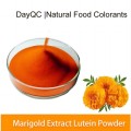 Extracto de flores de caléndula Lutein Powders a granel