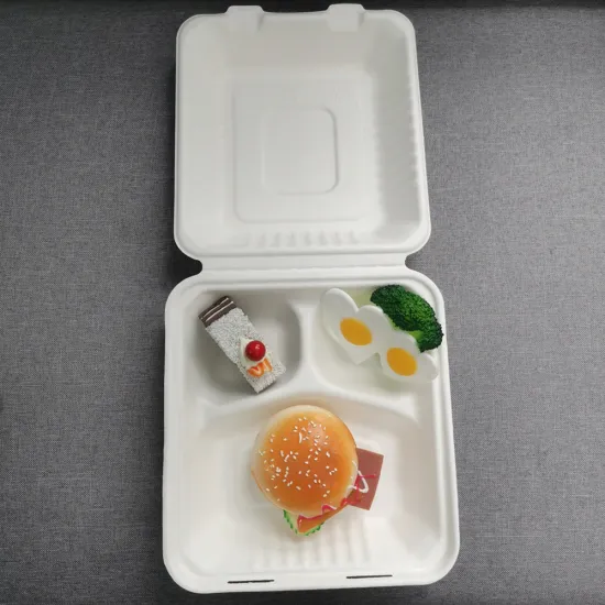 Disposable Bagasse 8'' 3cpt Food Container Taken Away