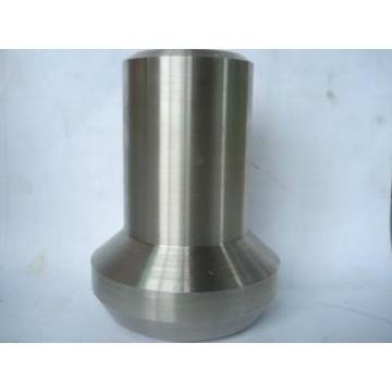 SS304 stailness steel nipolet fittings