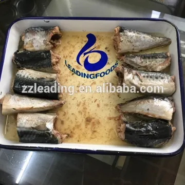 Instant Food Canned Mackerel in Brine Canned Fish Best China Supplier