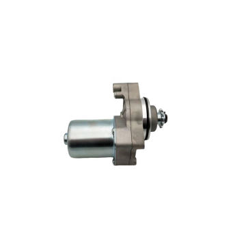 Hot Sale Motorcycle Engine Electrical Starting Motor for Honda Scooter WH100