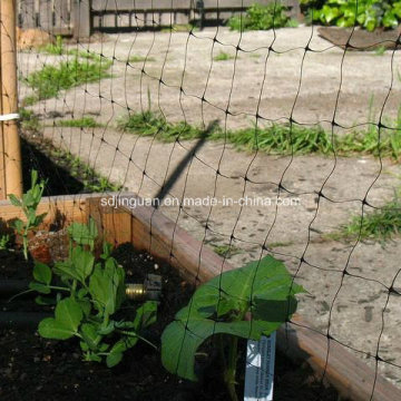 New Greenhouse Parts Plastic Plant Support Net for Agriculture