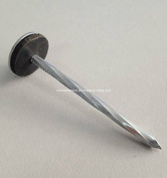 Galvanized Smooth Shank Umbrella Head Nails
