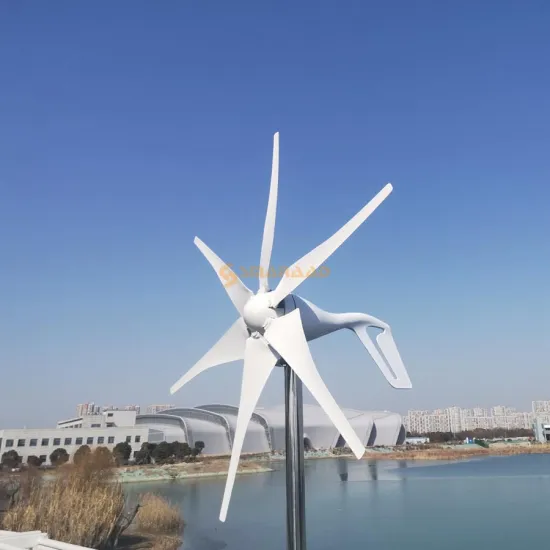 New Energy 1kw 12v/24v Horizontal Wind Turbine Generator