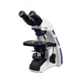 Microscopio composto binocolo professionale 40x-1000x