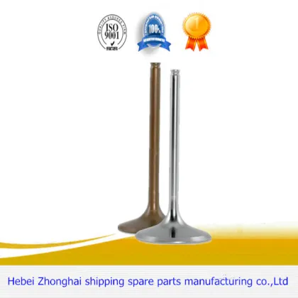 Car Engine Parts Engine Valve for SCANIA 340HP