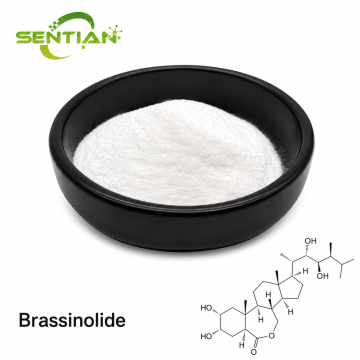 Brassinolide Plant Growth Regulator Supplier