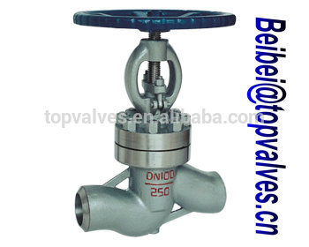 stainless steel shut off Globe Valve