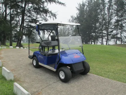 Strong golf cart hunting golf cart