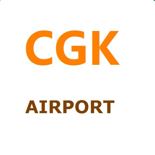 airfreight to INDONESIA including tax and deliver