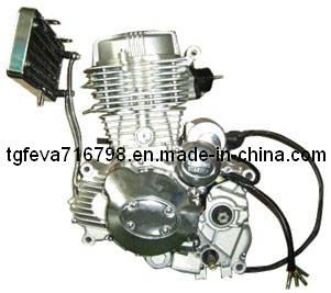 Cg250 Motorcycle Engine (167FMM)