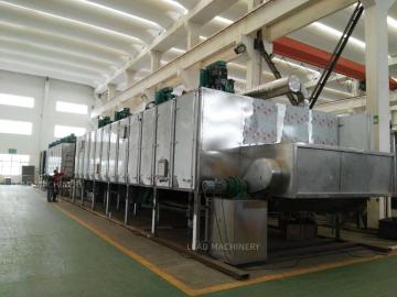 DW mesh belt dryer for drying vegetables