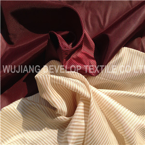 Polyester Yarn Dyed Anti Static Taffeta Fabric for Garment Lining Fabric (DT2024)
