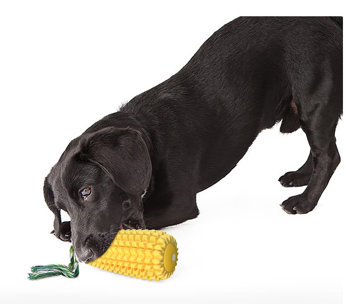 Squeaky Pet Dog Chew Toy