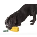 Squeaky Pet Dog Chew Toy