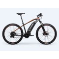 Customized 1000W Mid Drive Ebike