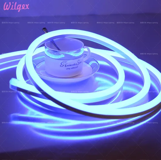 Small Size RGB/PWM Control Neon Flex Rope Light