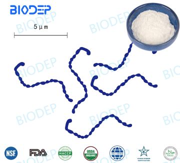 150B CFU/G Probiotics L. Mesenteroides