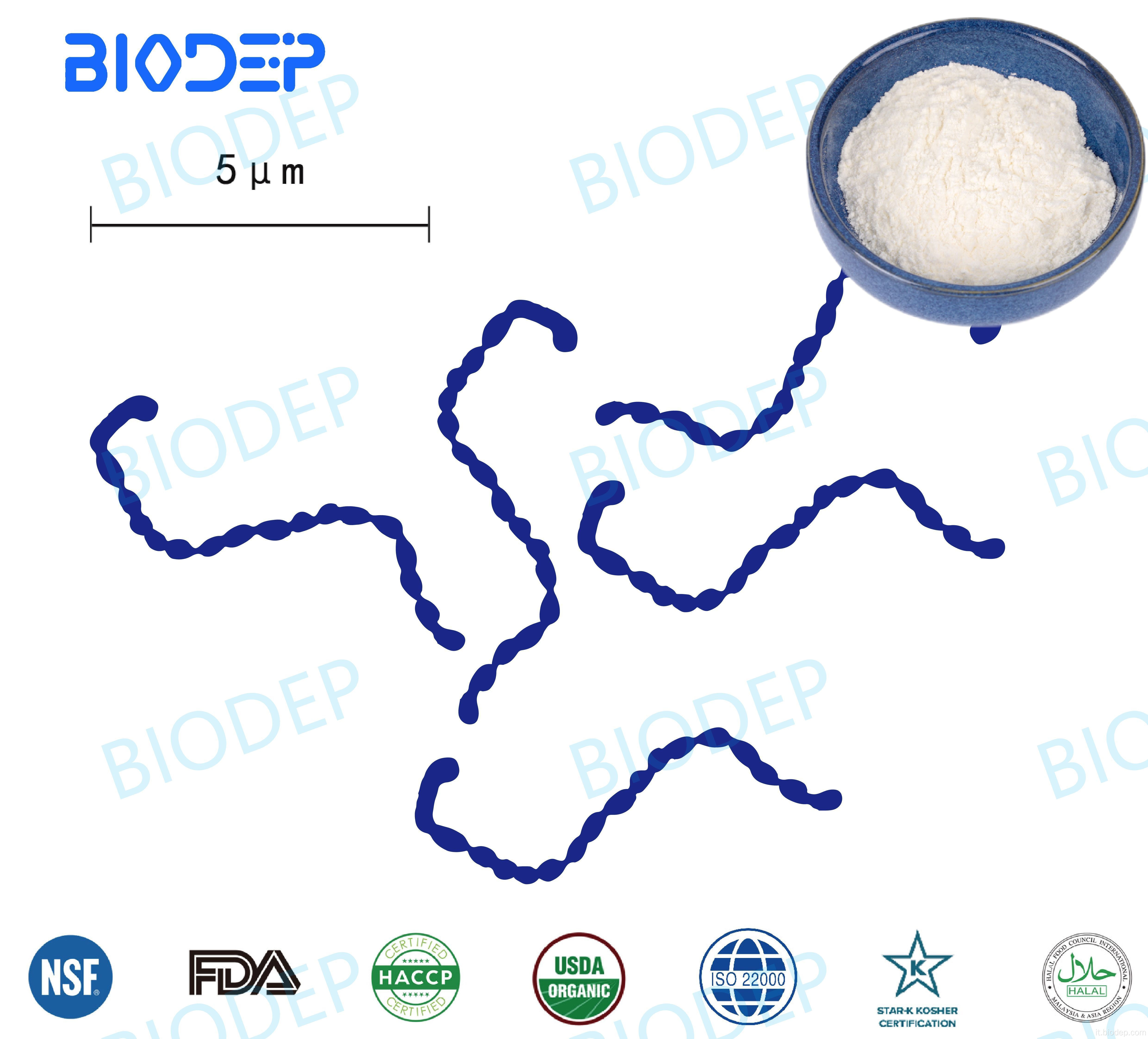 150b CFU/G Probiotics L. Mesenteroides
