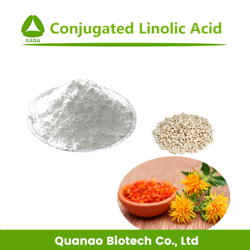 Microencapsulated Conjugated Linoleic Acid FFA-CLA Powder