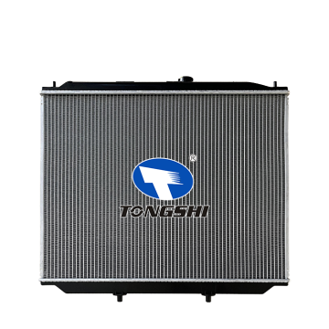 Car Radiator for Nissan Terrano 02 2.7L OEM 214507F002/214507F001