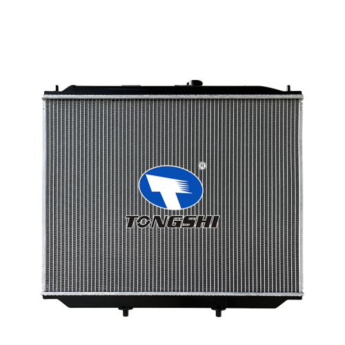 Car Radiator for Nissan Terrano 02 2.7L OEM 214507F002/214507F001