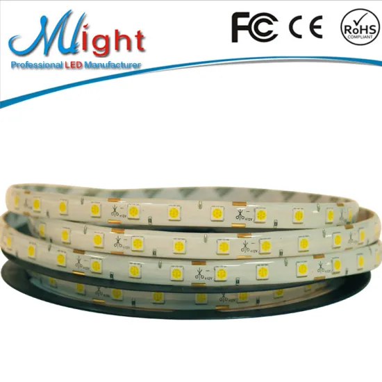 12V ip44 outdoor smd 5050 christmas exterior led rope lamp