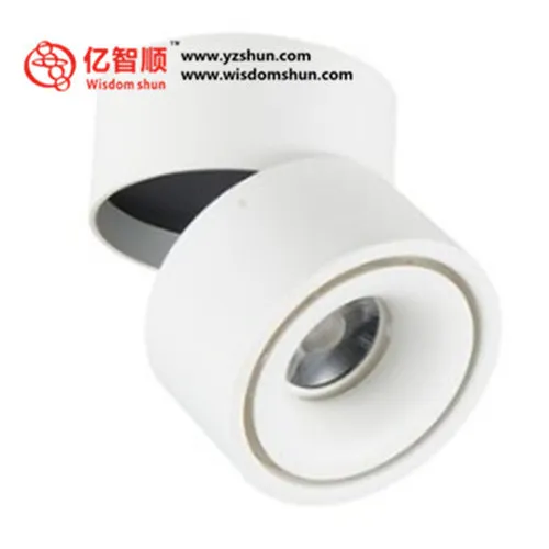 Made in China led cob downlight for gallry lighting led downlights glass