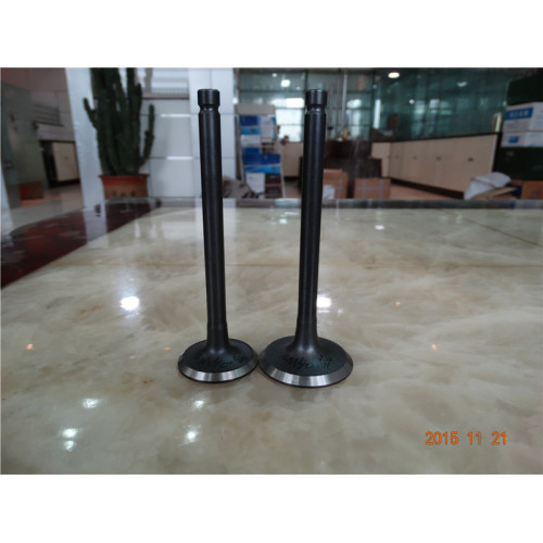 Heavy Truck ZHONGQI 6105 Valve parts from Factory