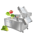 Vegetable Washing Machine Air Bubble Commercial Vegetable Washing Machine Factory