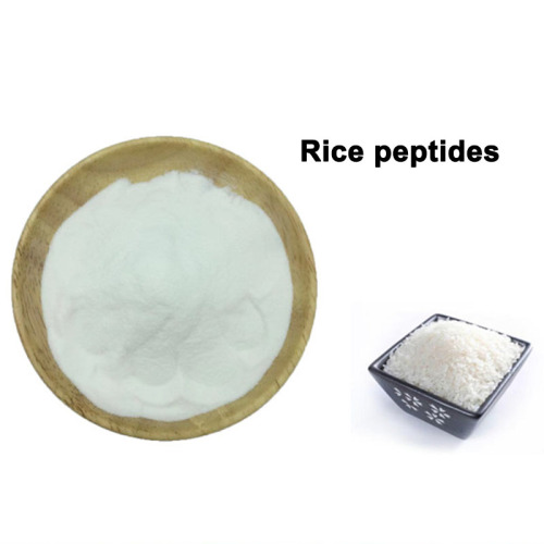 Péptidos naturales del arroz de la materia prima de la categoría alimenticia