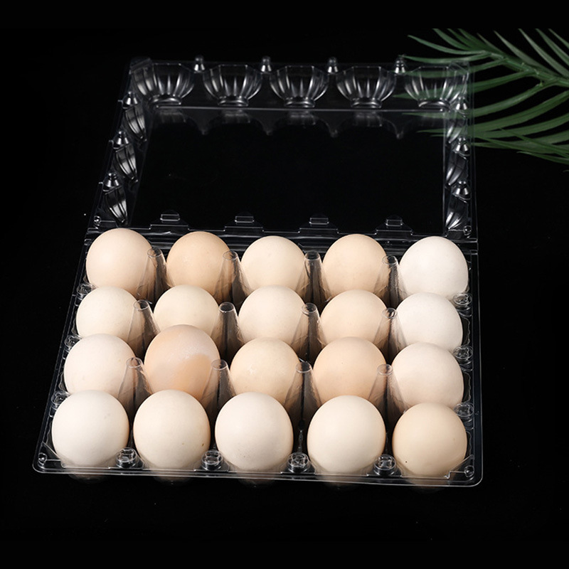 6 Holes Egg Box Blister Plastic Egg Tray