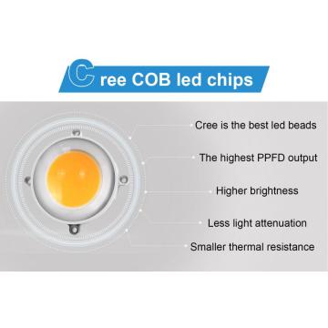 Goedkoopste COB LED Grow Light Phlizon met Fan