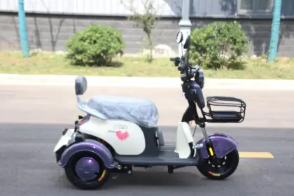 One three-wheeled electric vehicle