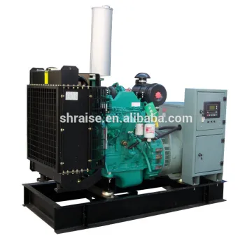 Shanghai Raise Brand Type Water Cooled Diesel Generator Unit