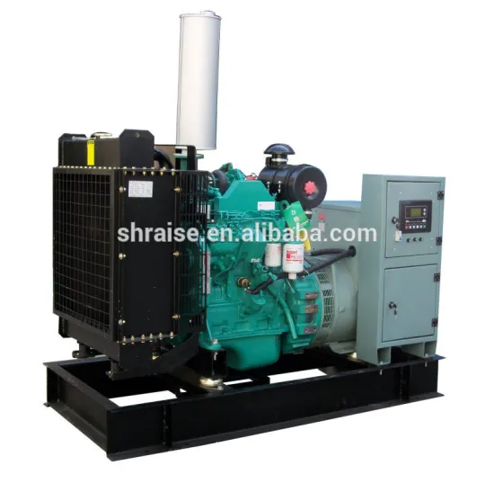 Shanghai Raise Brand Type Water Cooled Diesel Generator Unit