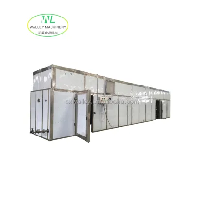 Customizing Industrial Tray Drying for Mushroom/Tremella Tunnel Dryers