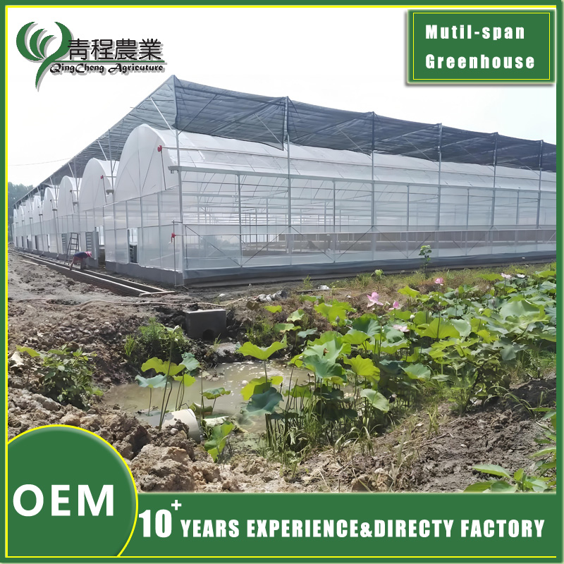 Multi span Greenhouse With Shade Systems, Cooling System