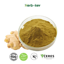 Ginger Extract Gingerols Powder5%