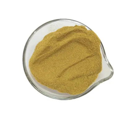 Wholesale Dehydrated Green Bell Pepper Powder