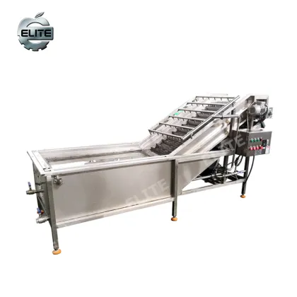 Berries Cleaning Machine: Fruit and Vegetable Cleaning Machine