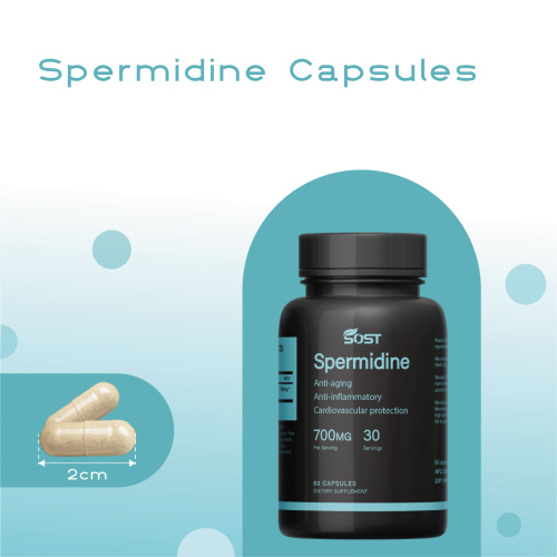 Capsule di spermidina ad alta potenza per la vitalità