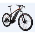 Customized 48 V Electric Dirt Bike
