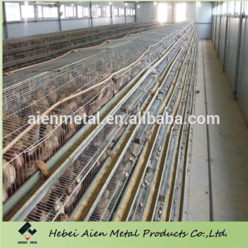 layer quail cages for sale