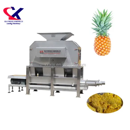 2-3t/h Fresh Pineapple Juice Extractor Machine - Fresh Pineapple Juice Processing Equipment