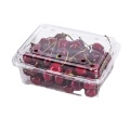 PET Fruit Tray Disposable Fruit1 Tray